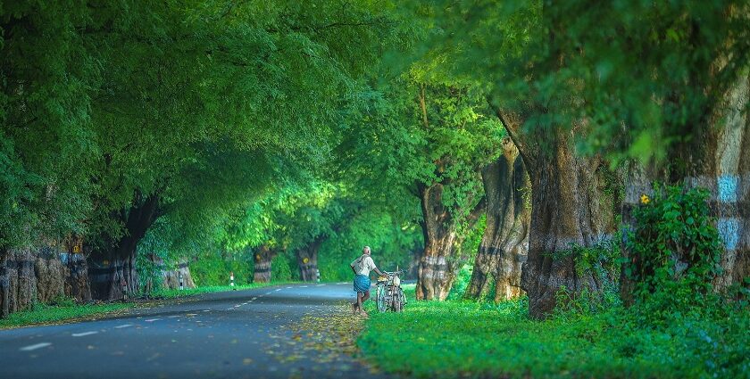 Mudumalai National Park